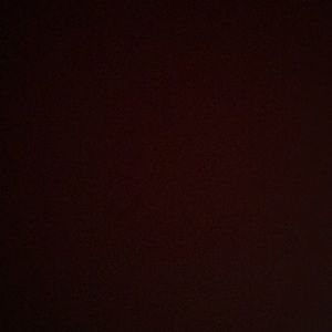 Meet your Posher, Taneesha